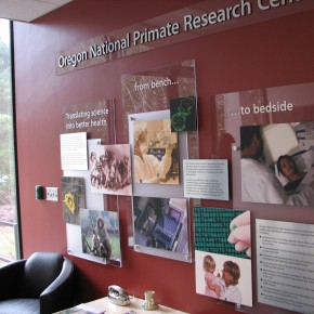 Oregon National Primate Research Center | Hartmann Exhibits & Displays